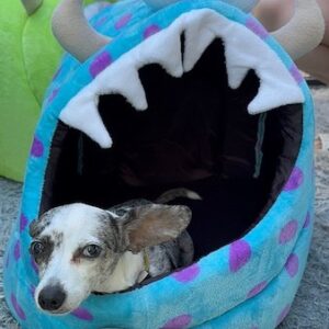 Cozy Igloo Bed for Dogs & Cats