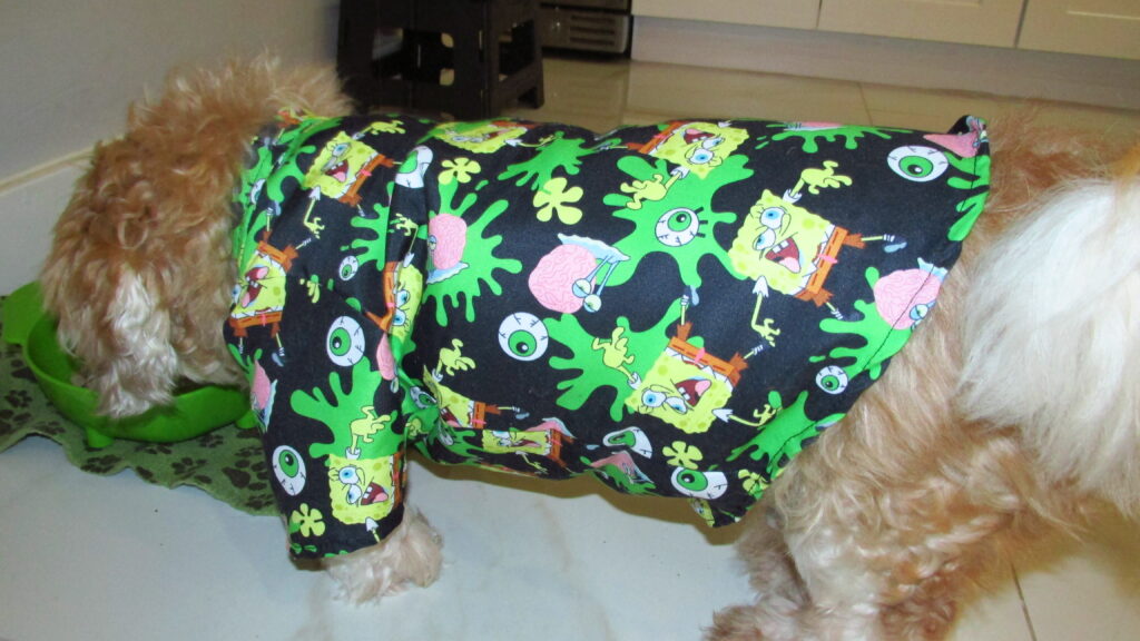 Dog wearing a colorful cartoon-themed outfit.