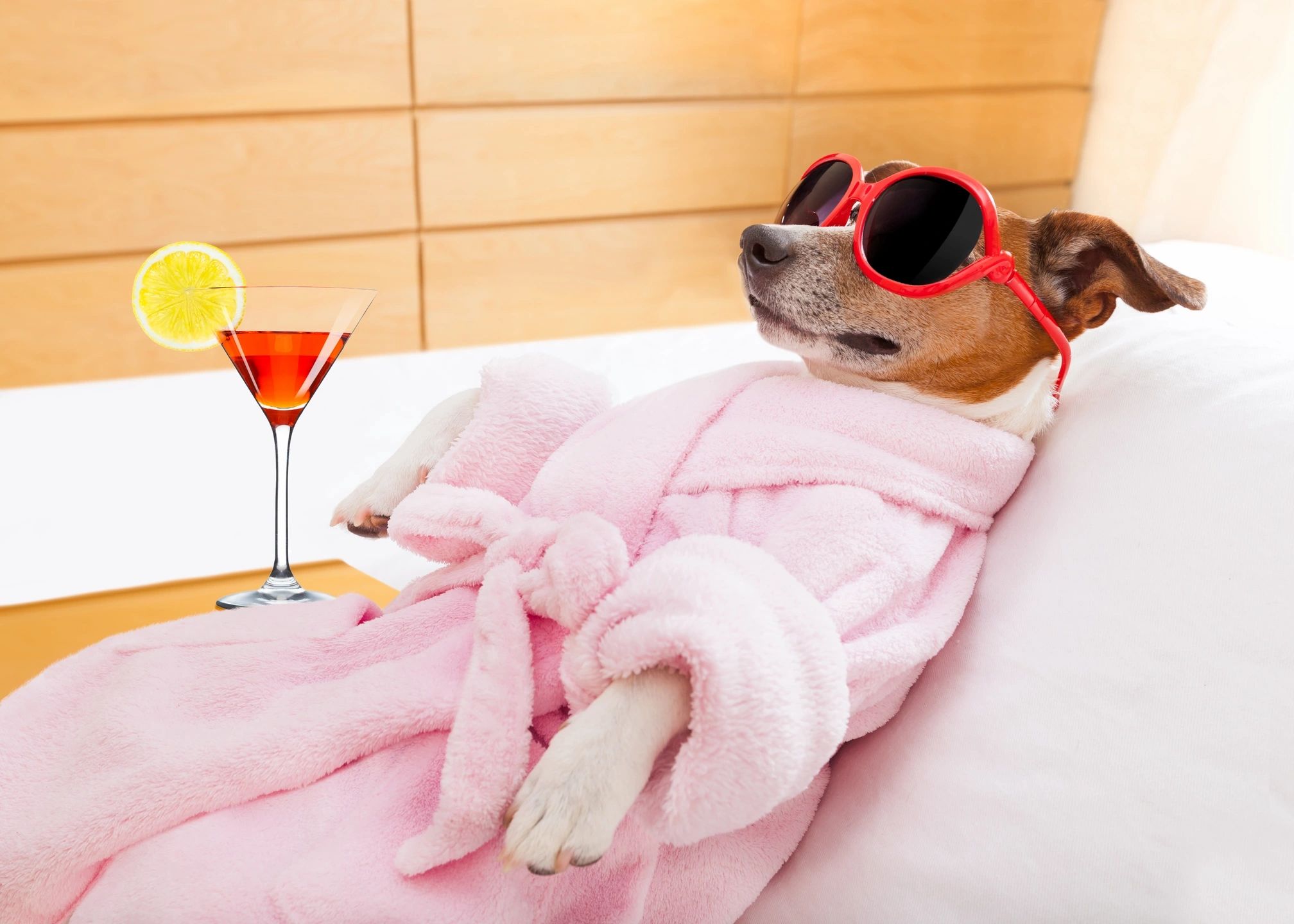A relaxed dog in sunglasses lounging with a cocktail by its side.