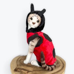 Ladybug-Two in One