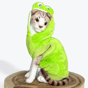 Frog-Two in One